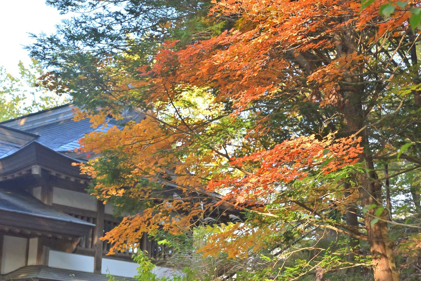 大嵐天神社へ