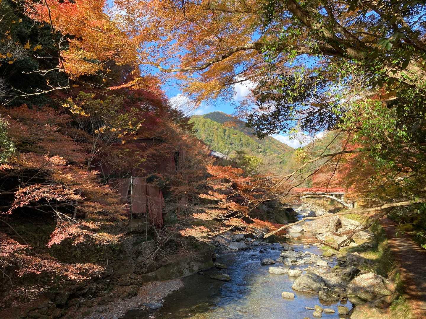 京見峠-上ノ水峠-仏栗峠-福ヶ谷林道登山口-白雲橋-槙ノ尾 縦走コースの写真