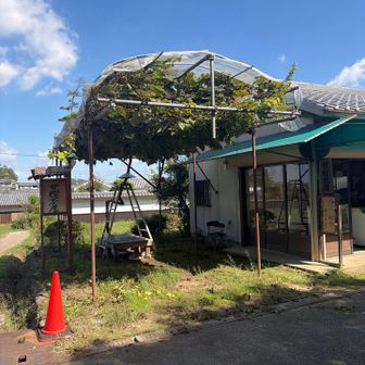 下山後すぐにポツリと売店