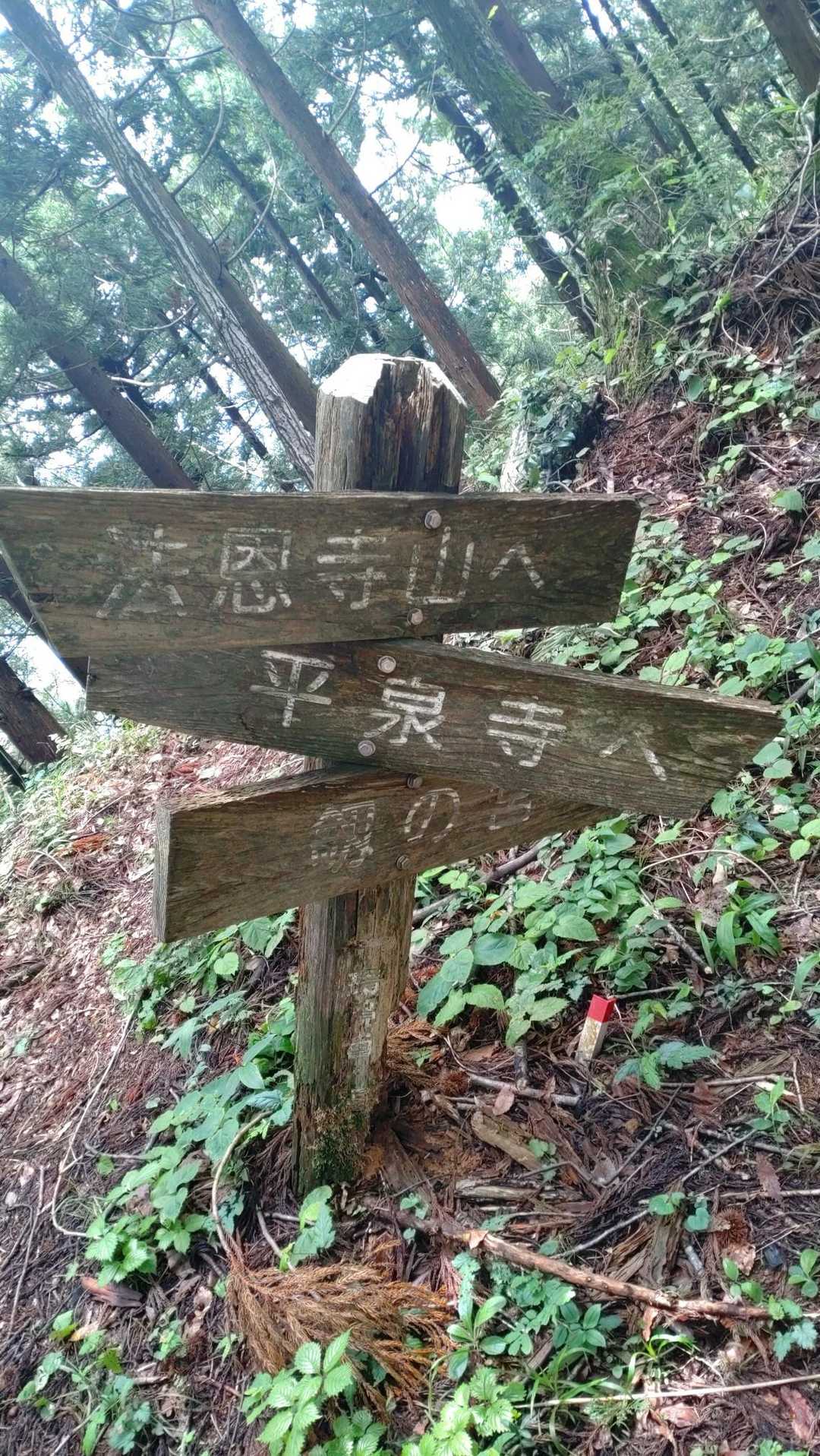 白山禅定道入口-三頭山 往復コースの写真