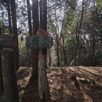 恋姫山。いい山名。