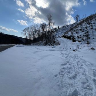 よーやく道路に出てきた😂