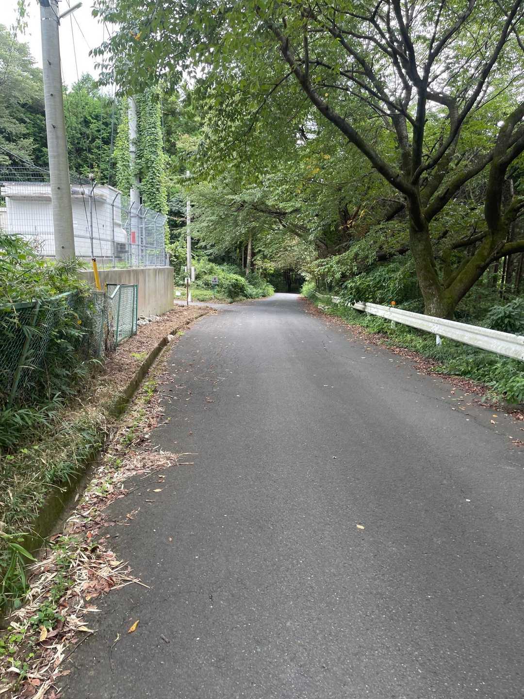 あたご天狗の森登山口-鐘転山 往復コースの写真
