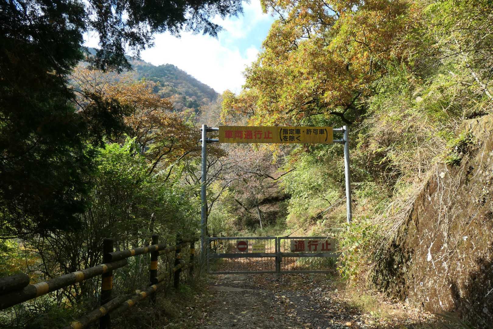 お疲れ様でした🍀