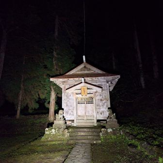 常連の先行者がいる鳥坂神社