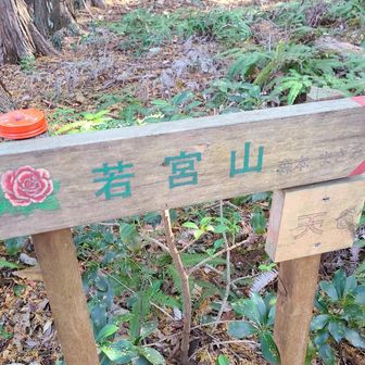 若宮山(新規ピーク)
YAMAPさん、野暮な事は言いたか無いけど、山頂認定の精査は大丈夫？(笑)