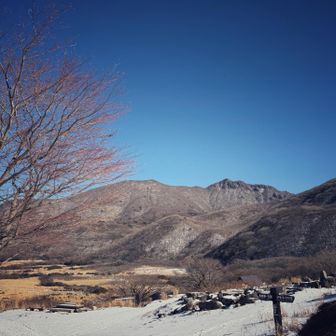 やわらかな日差しの中を帰路へ。