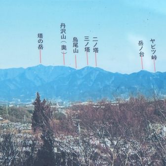 天気が良ければ丹沢方向はこんな感じの眺望らしいです。