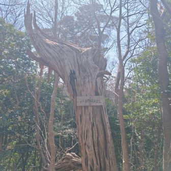 「眺望の丘」
お昼はここで
眺望は…