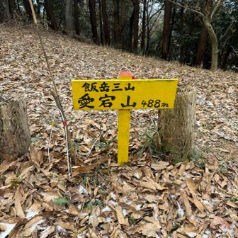 10.愛宕山登頂⛰️

飯岳三山1つ目！