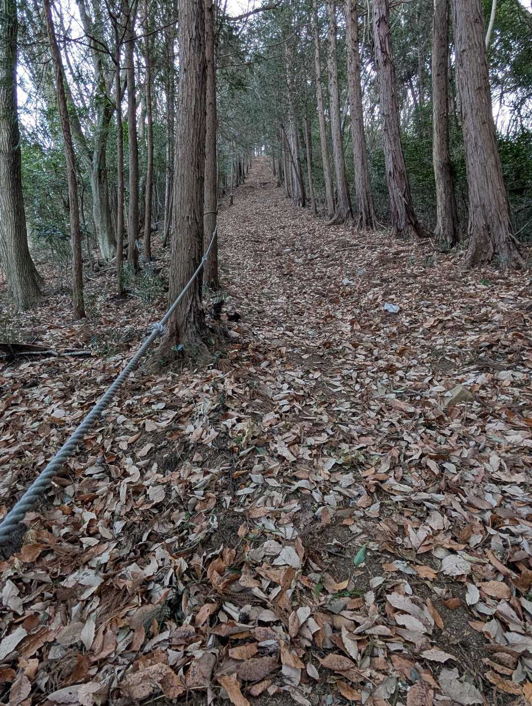 急登になりました🥴
ロープがあるからまだ良いですが🍂で滑ります😮‍💨