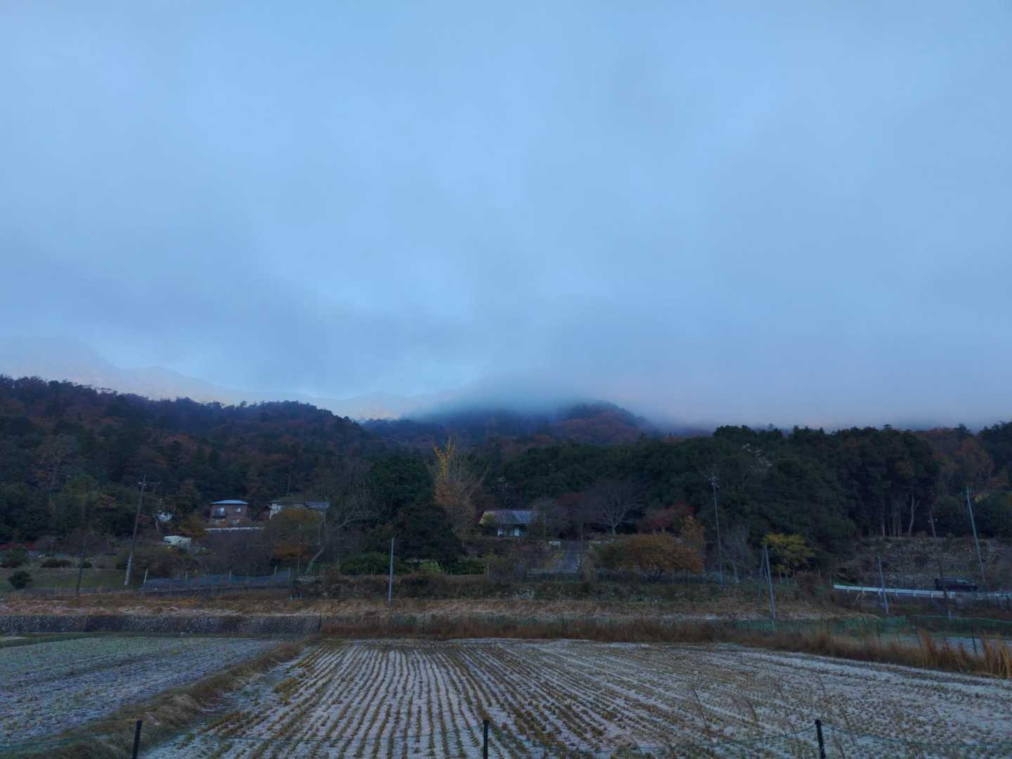 到着🗻