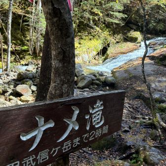 はい🖐️ナメ滝！
こちらは…ゴムボート🚣流したい！