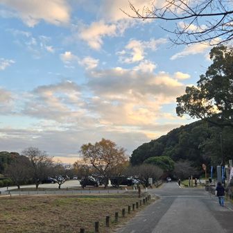 駐車場に戻ってきました