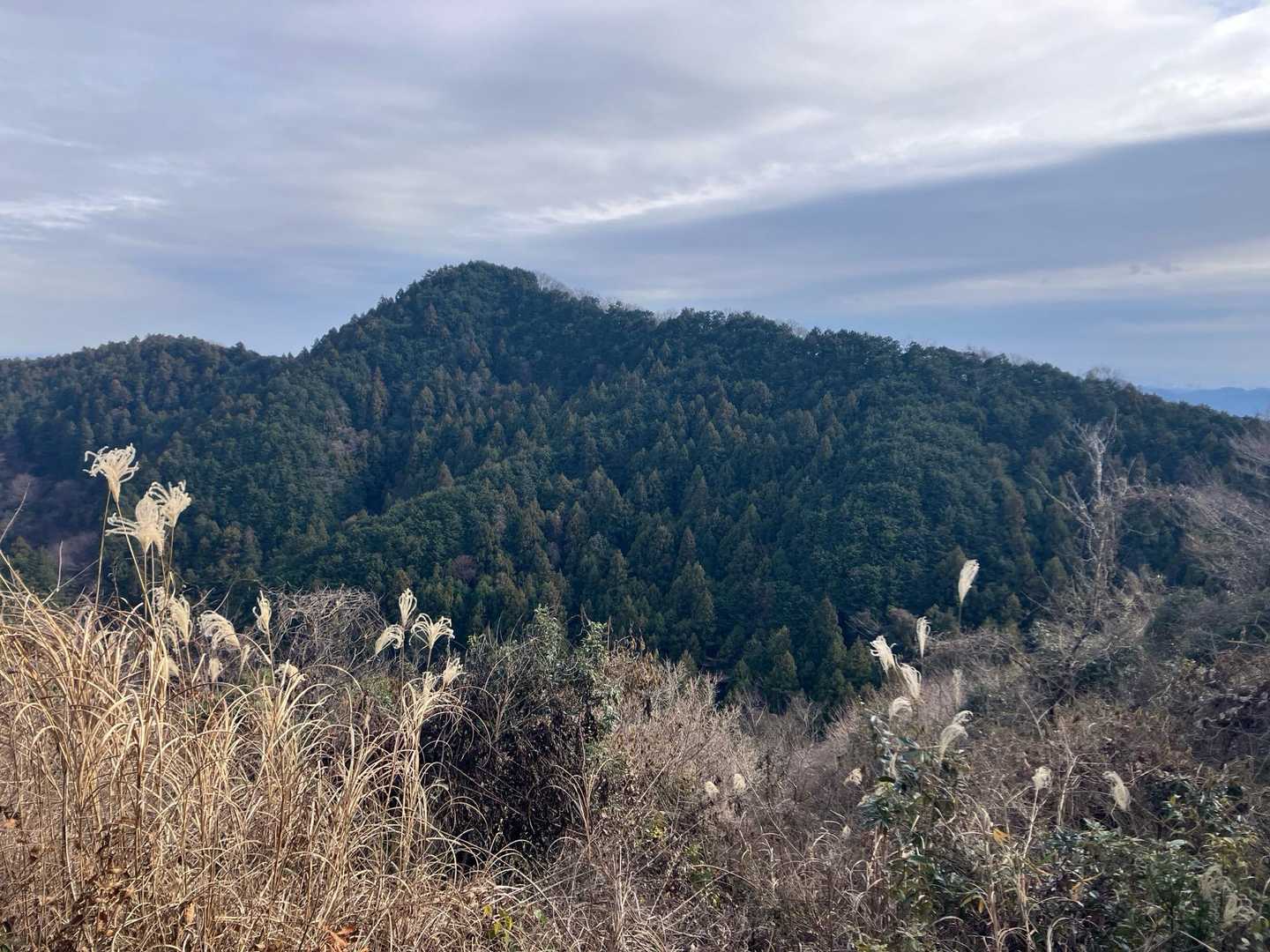 このルートは眺望良いところほとんどなく、富士山も見えませんでした😅（天気良ければどこかで見れたのかも？）