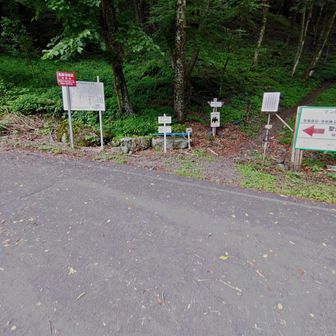 聖光小屋から林道ショートカット