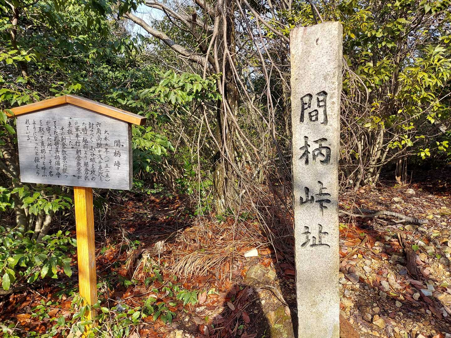 小谷山 往復コースの写真