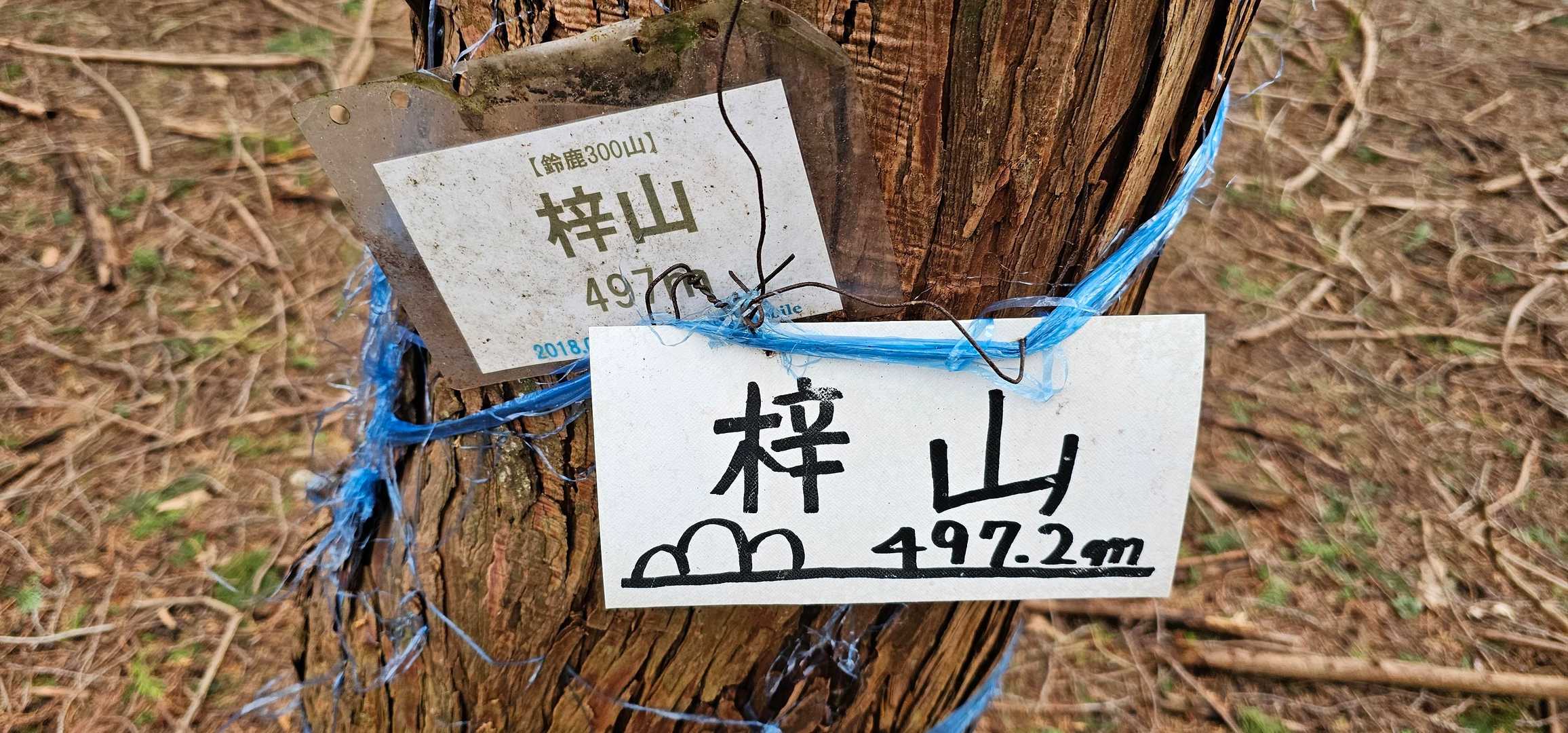 そんなこんなで梓山、到着🐤