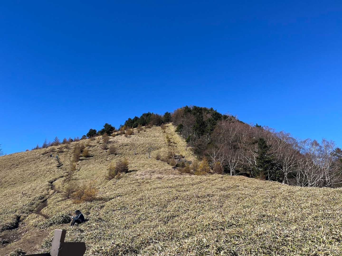 大菩薩方面です。牧歌的な感じですね🐄