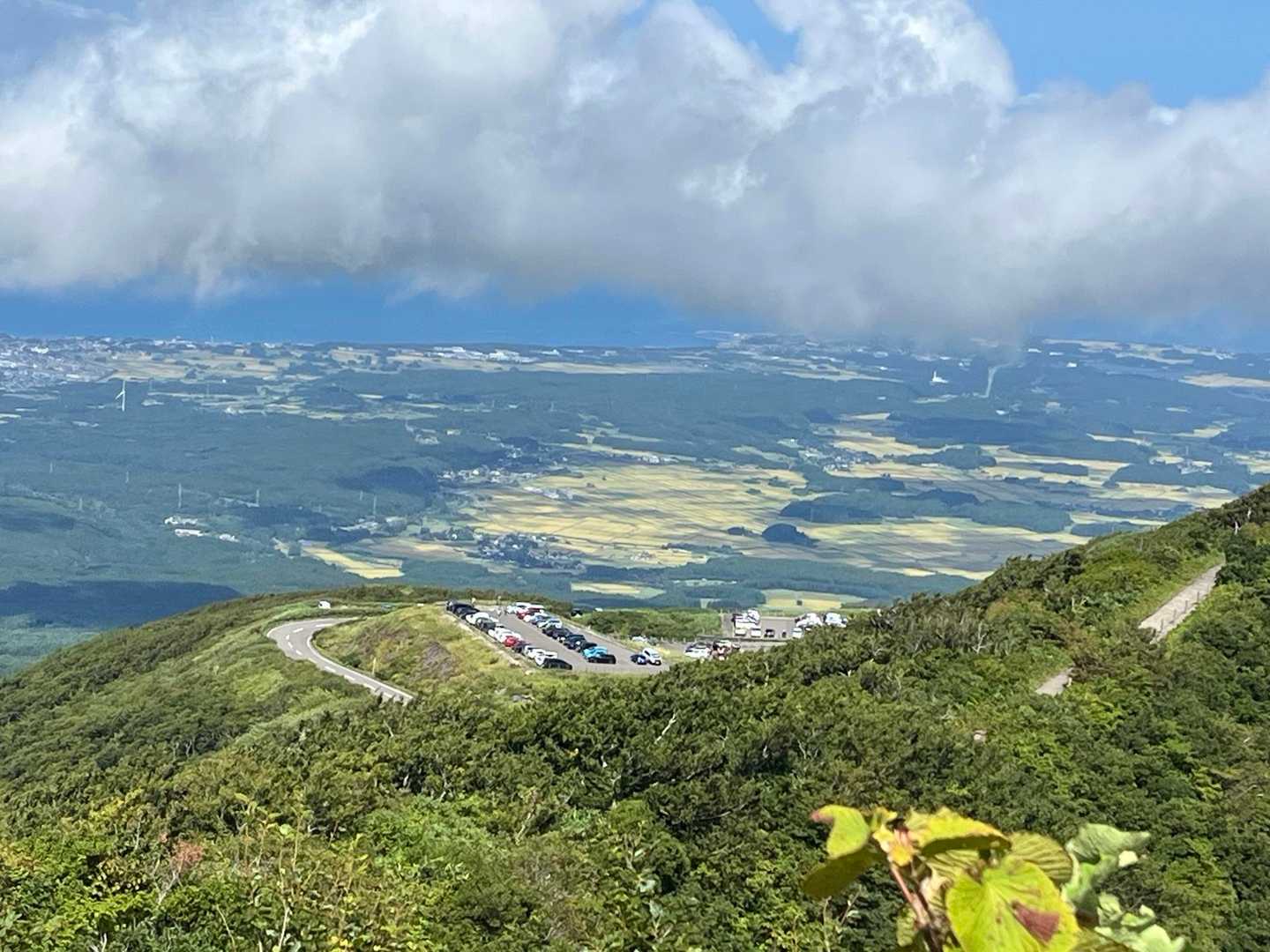 駐車場はすっかりブルー。