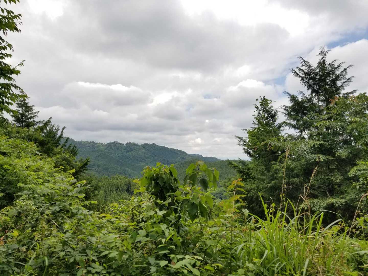 高尾山口駅-草戸峠-草戸山 往復コースの地図・登山ルート・登山口情報