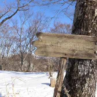 山頂到着ーっ。