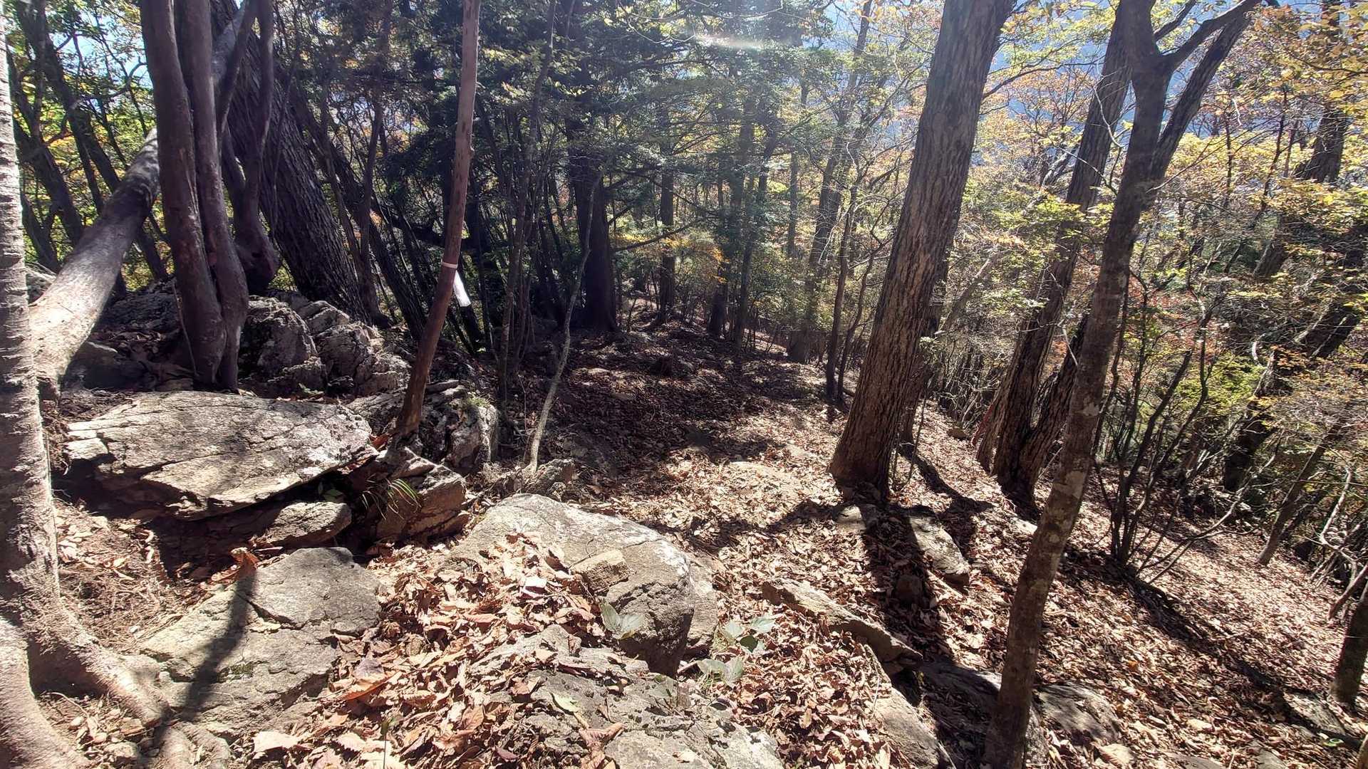 中盤より岩が