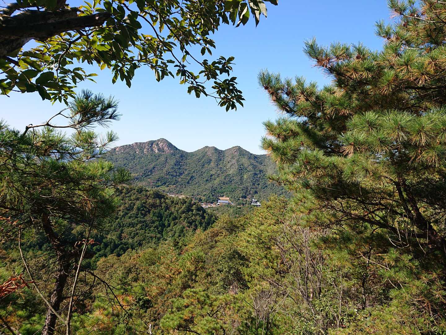 あっちの山と悩みました😁