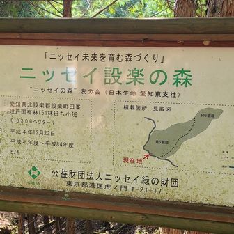 国有林だけど、仕組みが謎。
よく見かけはするけど。
企業が森を作ってるのかな？