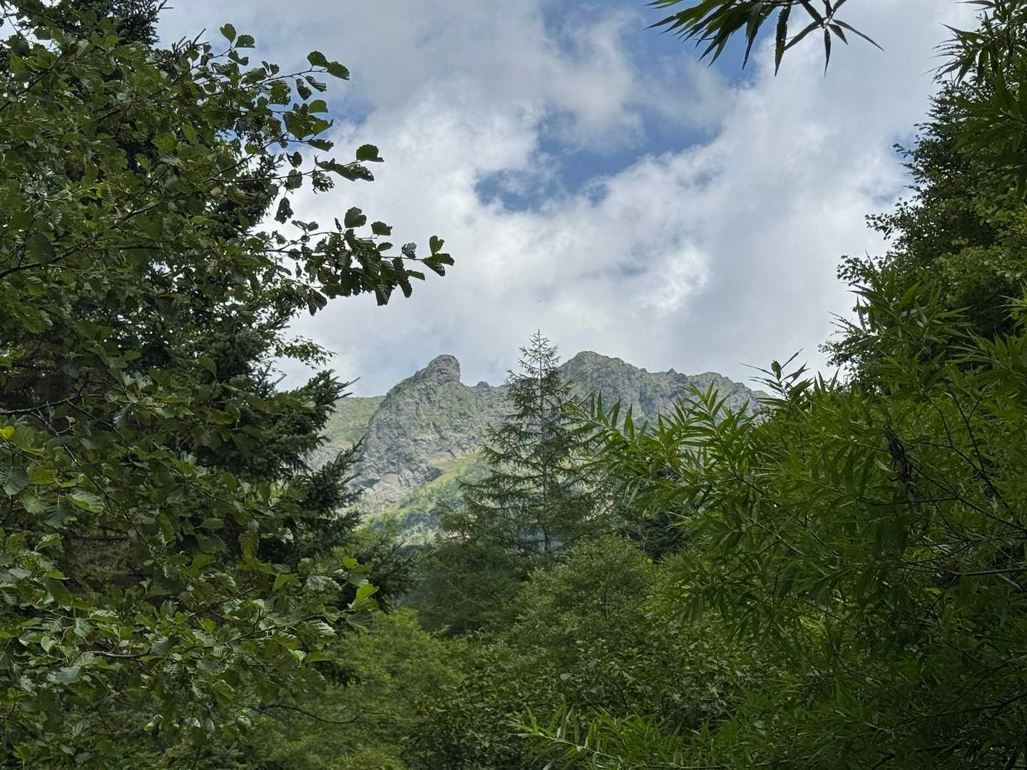 途中景気が広がるところも