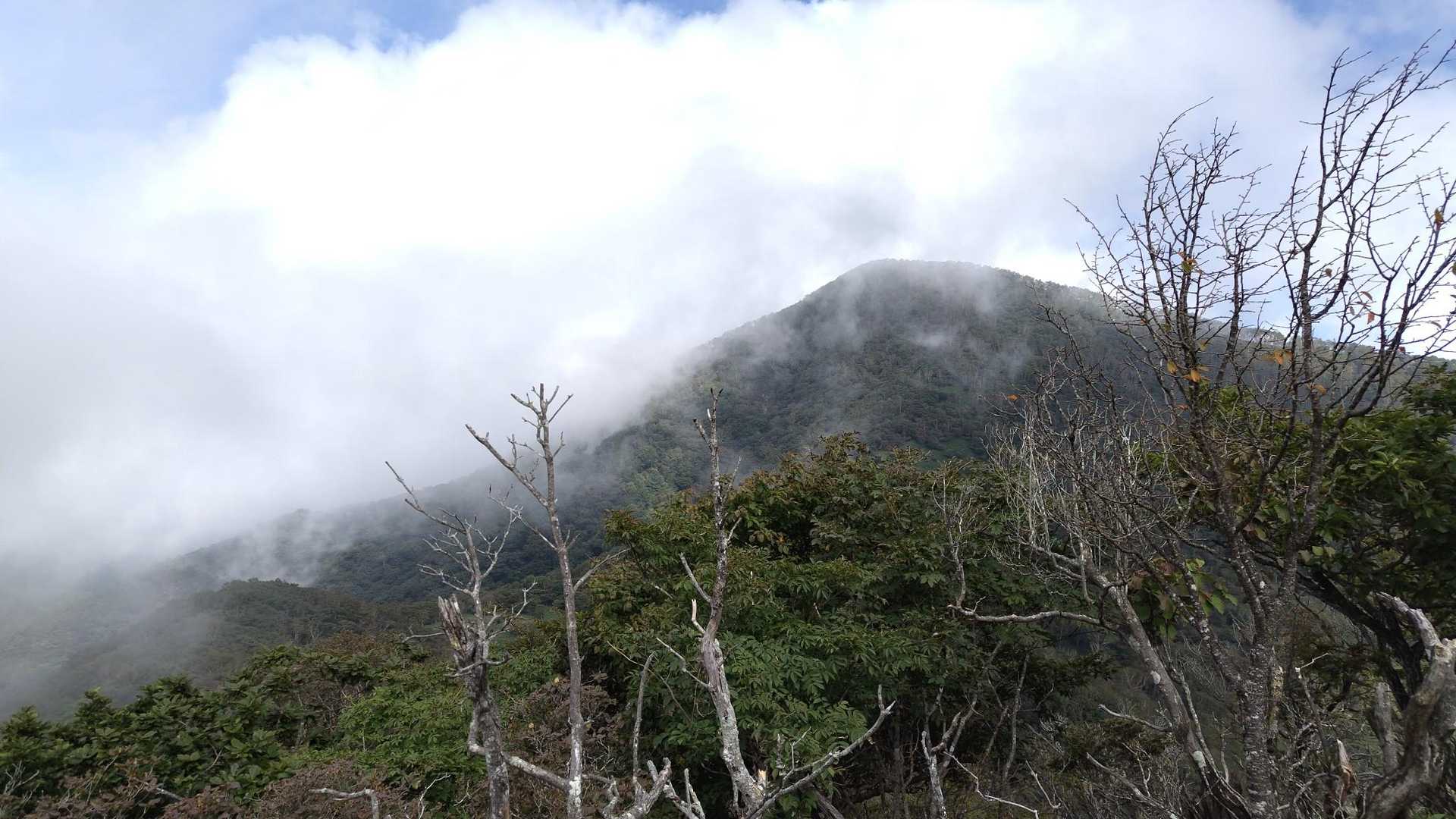 待っててね。黒檜‼️