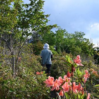 展望台の奥まで行くと
