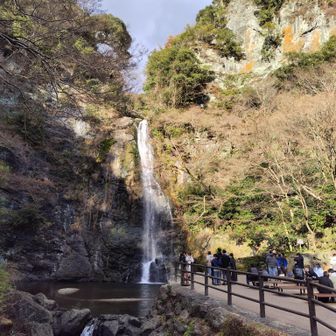 1月11日の箕面大滝