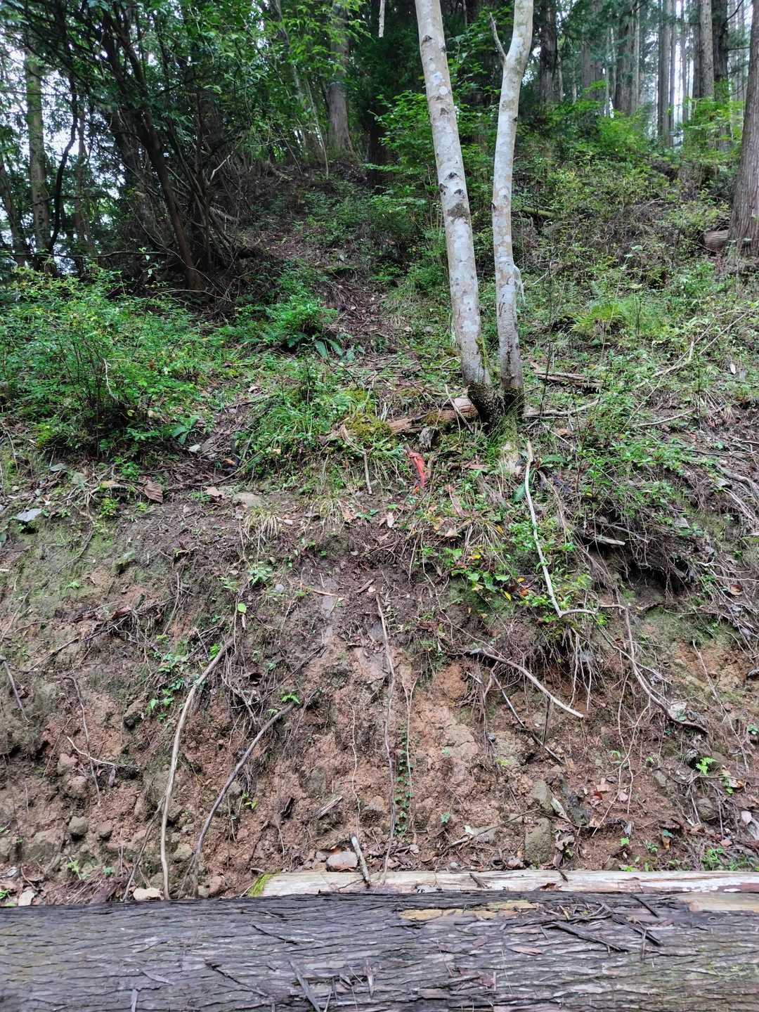 すぐに登り口