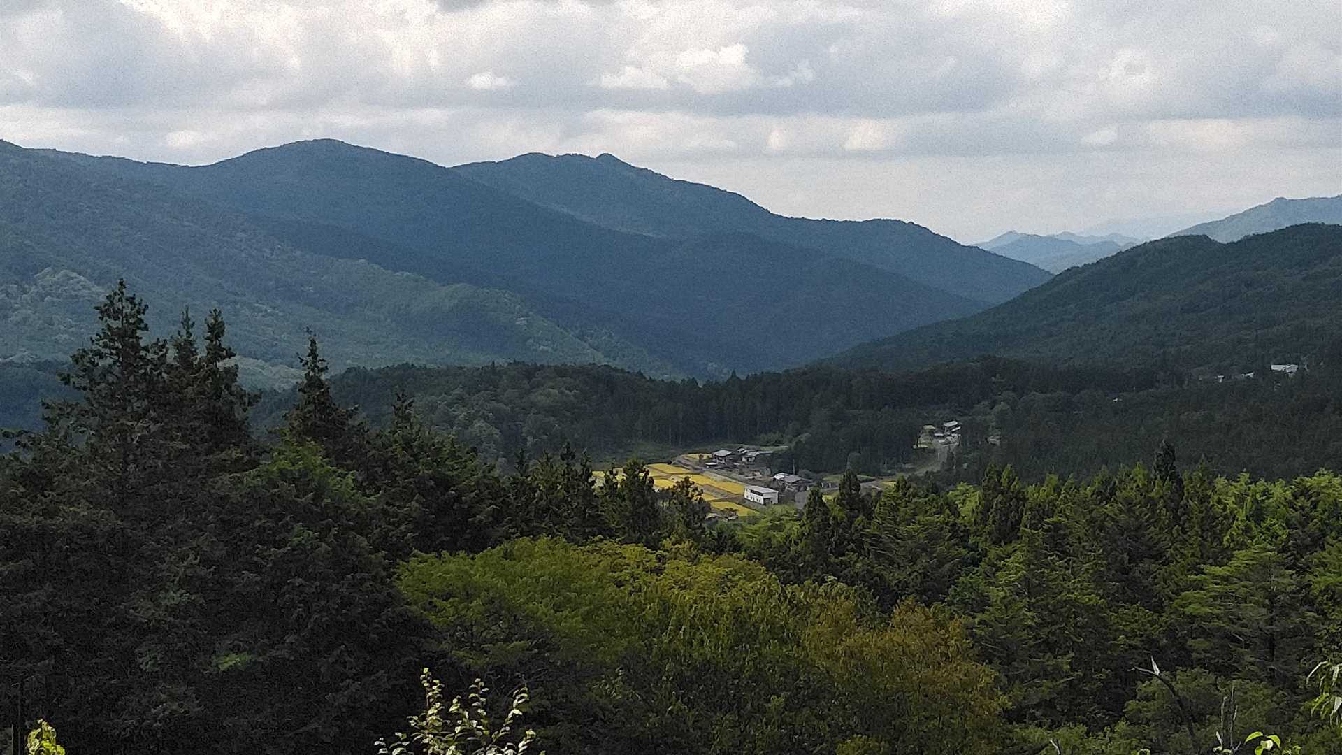 県道から見える里山の風景