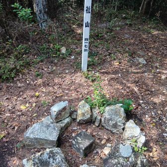 山頂　とても地味です