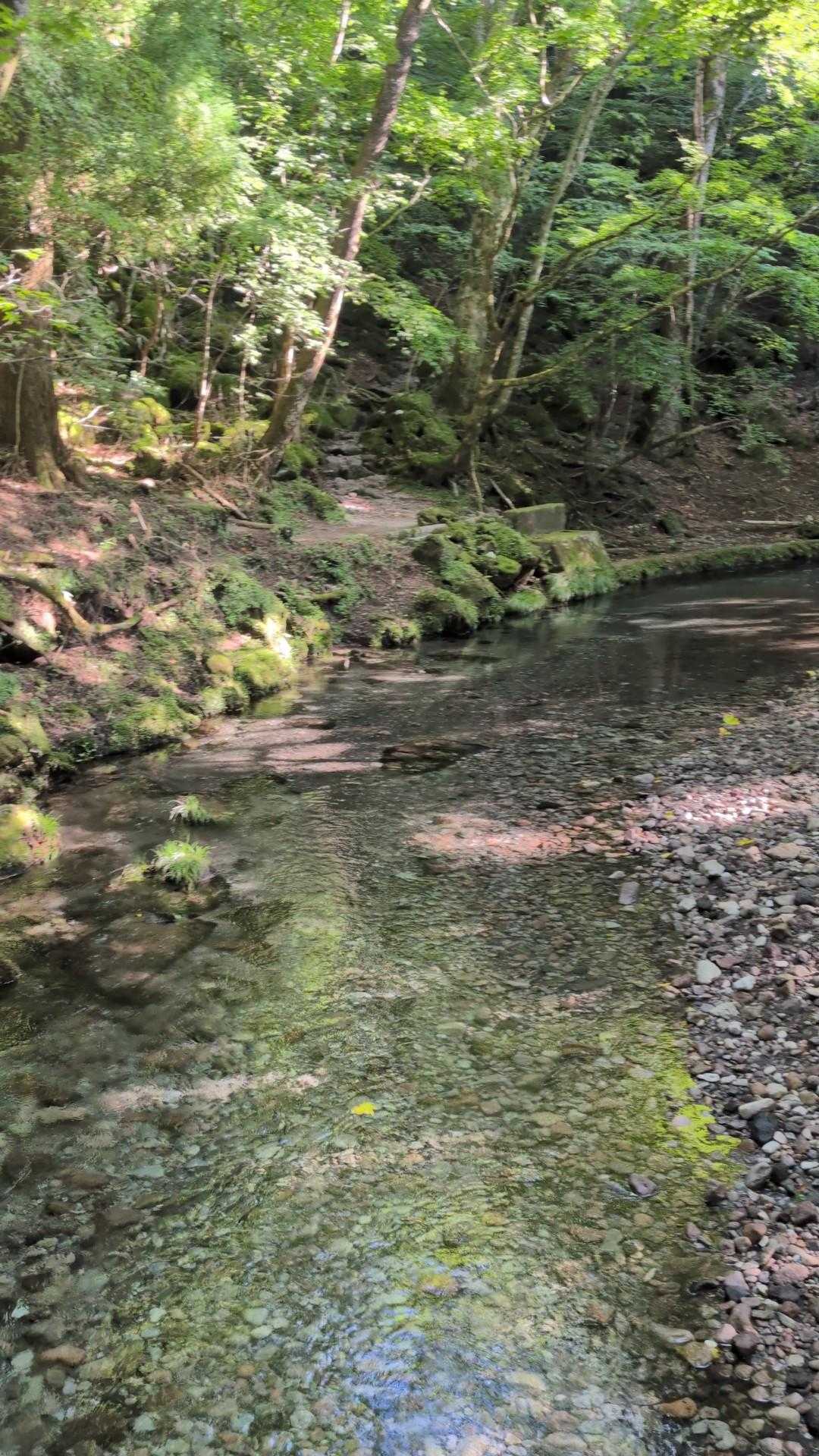 水が綺麗なのよ🥹