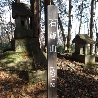 ［群馬百名山］石尊山＼(^o^)／
眺望は…良いとは言えないですね！
(￣▽￣;)