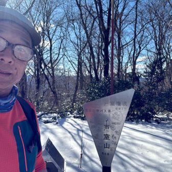 キツツキがいたけど、写真撮れなかったかなしい