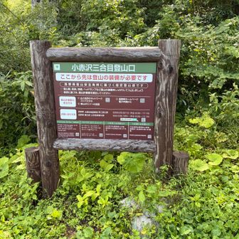 小赤沢登山口三合目からスタート
駐車場は広い　トイレあり　靴洗い場あり(川

スタート前にプチハプニング　日焼け止めを塗っていたら　奥様にそれ何塗ってるの？と言われて容器を見てみたら洗顔料でしたー　なんか粉っぽいと思った