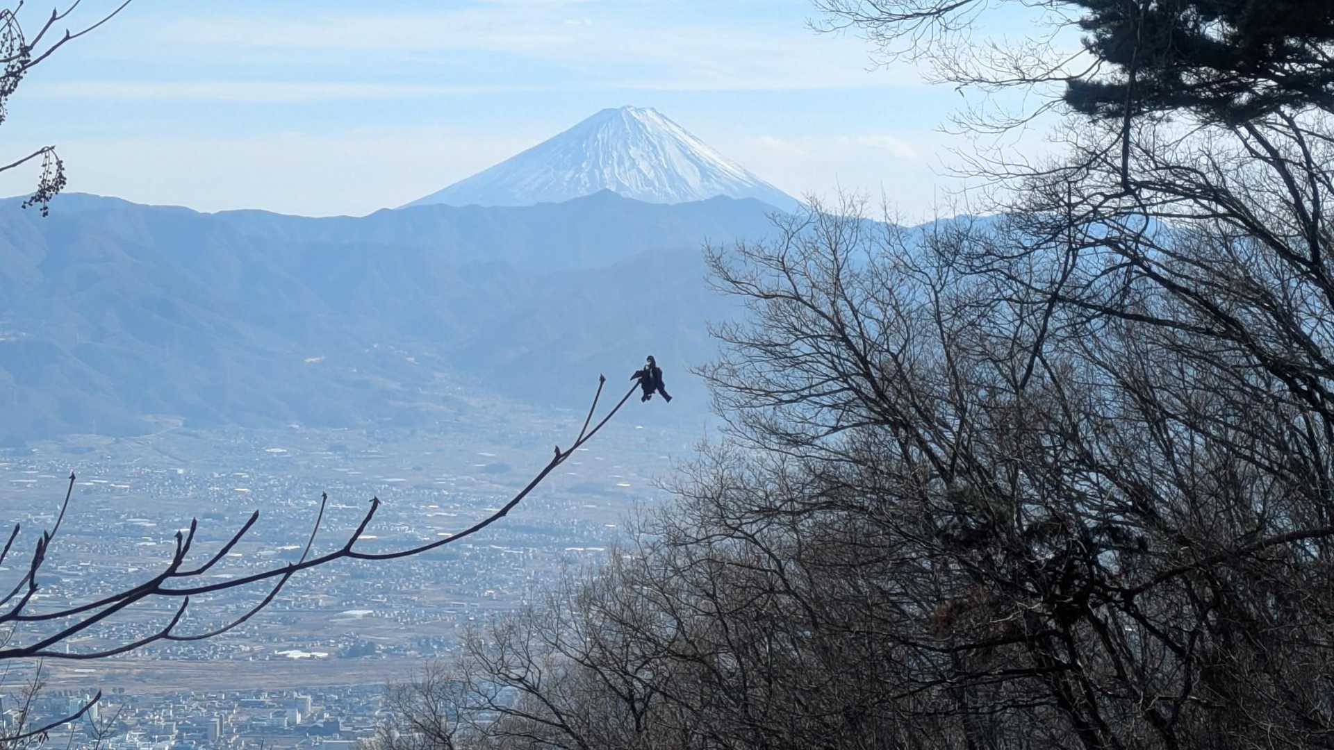 盆地と富士山
夜景がきれいそうだ