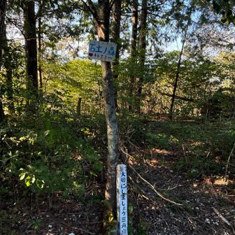 石土の森
何もないにも程があるぞ