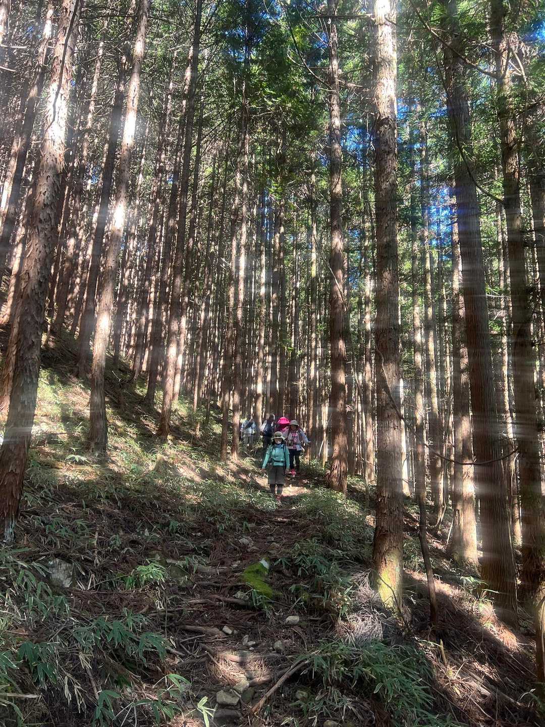 下山中🚶‍♂️