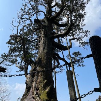 こちらも、だいぶ年数が…