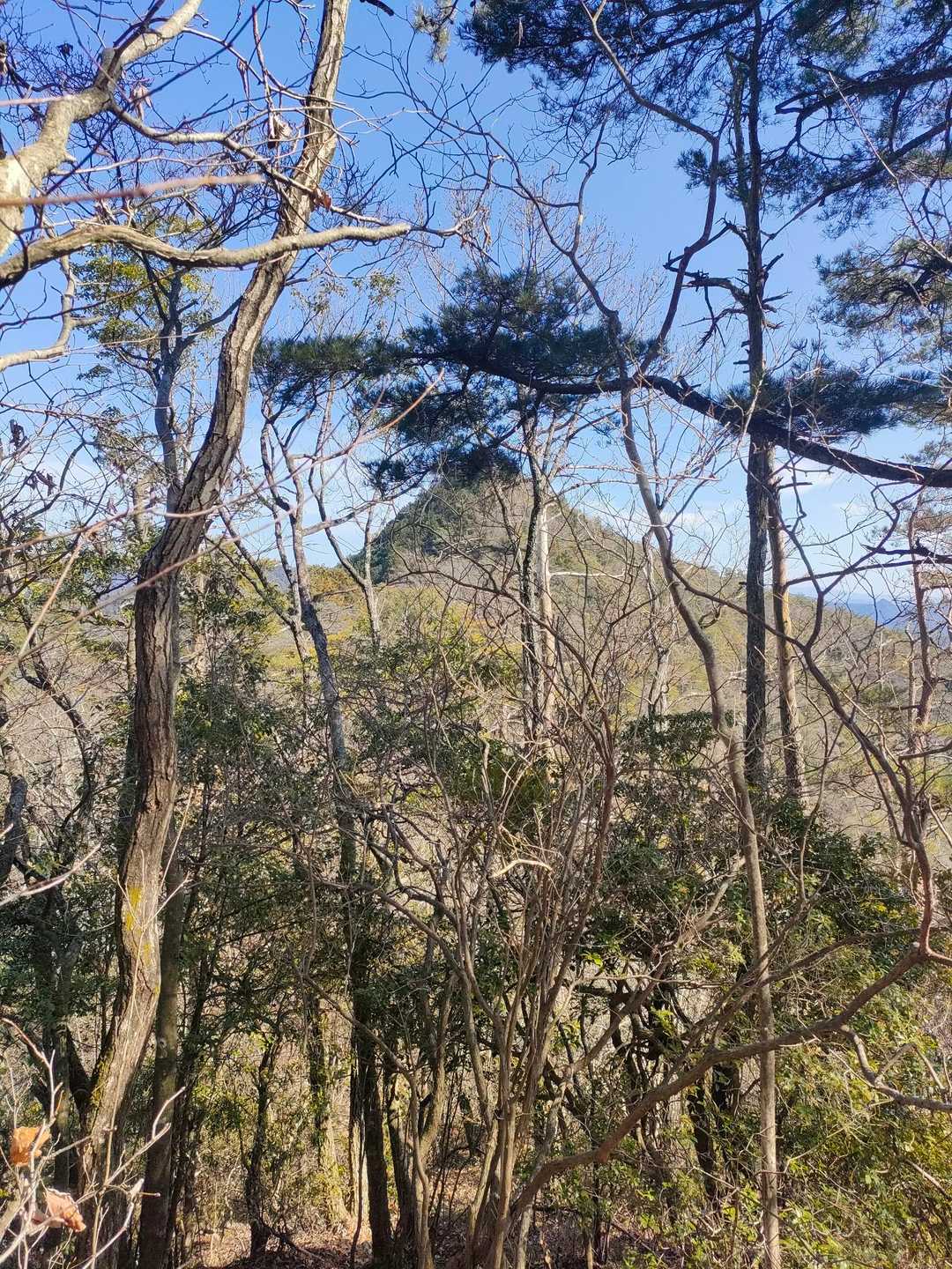 　　次のPEEK✨✨🥳

　　⛰️低山は激下り　激登り💦

　　大変┐⁠(⁠‘⁠～⁠`⁠;⁠)⁠┌