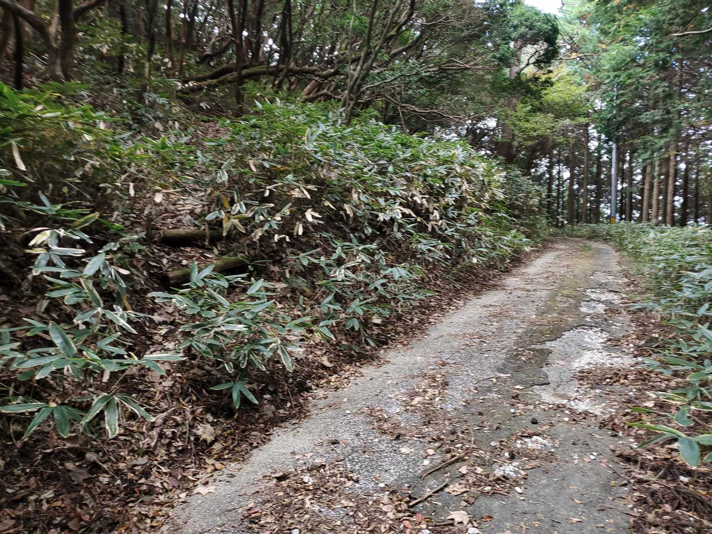 石鎚神社への入口