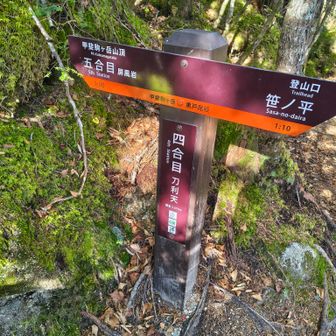 三～四合目は黒戸尾根の素顔が出ていた。チラチラと。