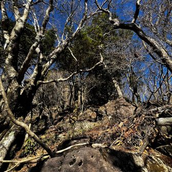 激下りして見上げて👀