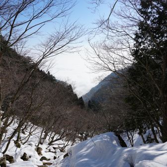 霧が全然減ってません。