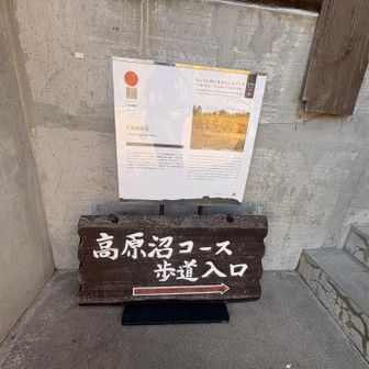 来年は高原沼も行って周回しにきます😊